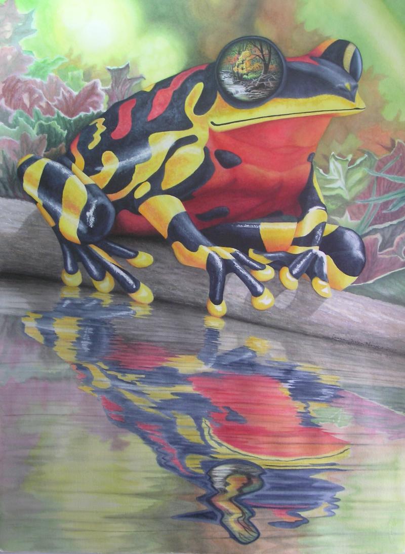 Harlequn Dart Frog